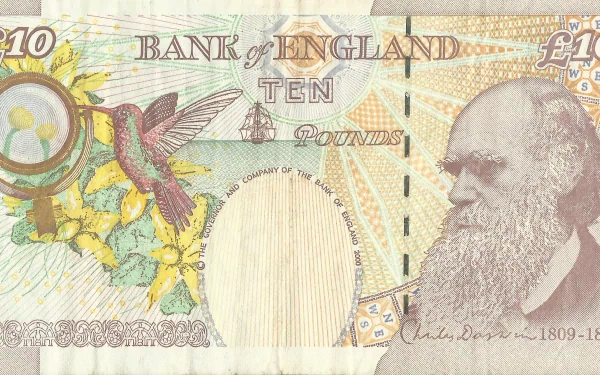 man made Pound sterling HD Desktop Wallpaper | Background Image