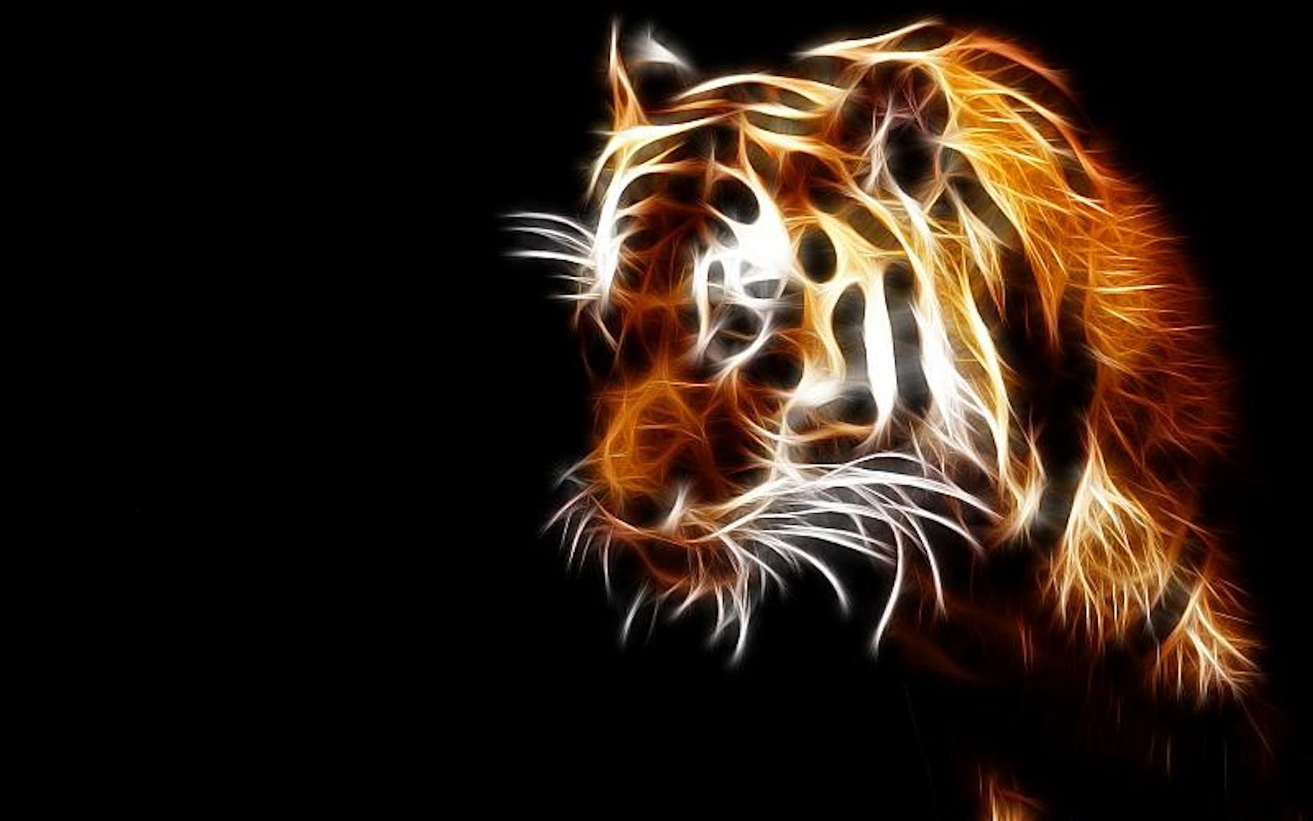 Download Animal Tiger Wallpaper