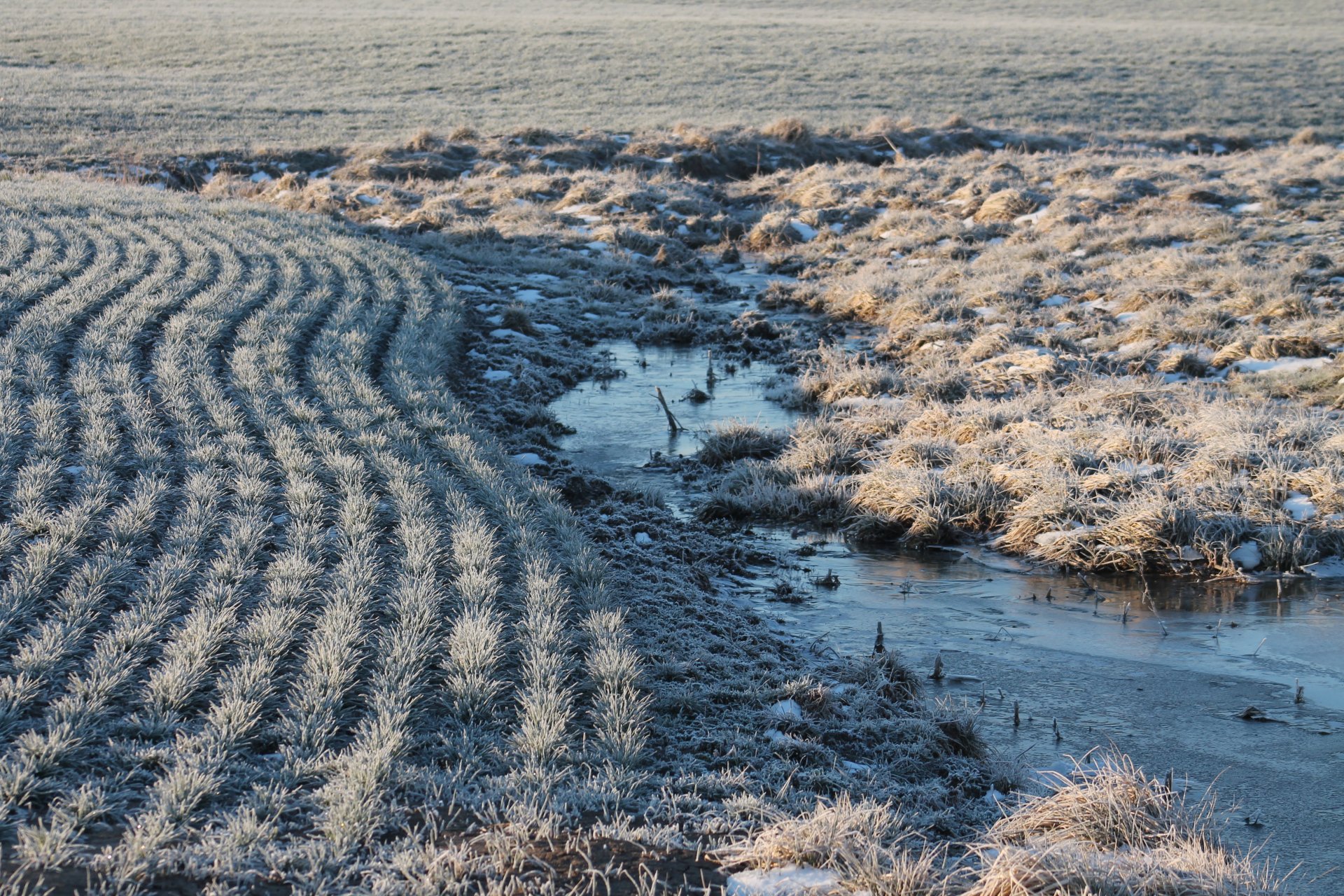4K Ultra HD PC desktop wallpaper: frost-covered field and frozen stream weaving between plowed rows, close-up nature photography highlighting icy water and pale grasses.