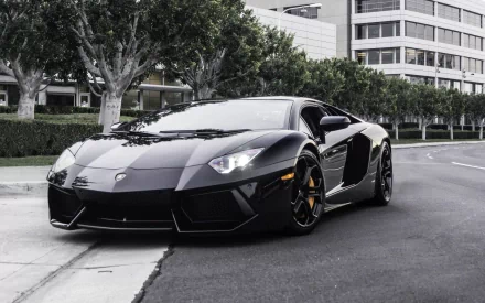 A sleek black Lamborghini Aventador parked on a city street, showcasing its impressive design against a backdrop of trees and modern buildings. HD desktop wallpaper.