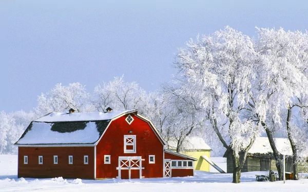 HD desktop wallpaper of a vibrant red barn covered in snow, set against frosted trees under a clear blue sky in a serene Canadian winter landscape.