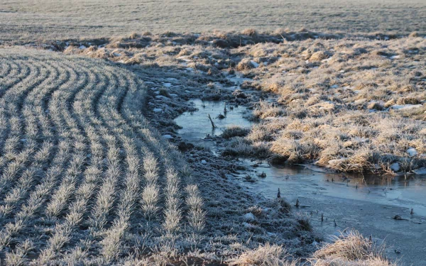 4K Ultra HD PC desktop wallpaper: frost-covered field and frozen stream weaving between plowed rows, close-up nature photography highlighting icy water and pale grasses.