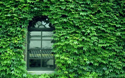 man made window HD Desktop Wallpaper | Background Image