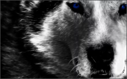 A striking grayscale fractal depiction of a wolf, featuring intense blue eyes, makes for a captivating HD desktop wallpaper and background.