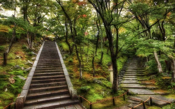HD photography of a serene park featuring two stone staircases surrounded by lush green trees, used as a PC desktop wallpaper and background.