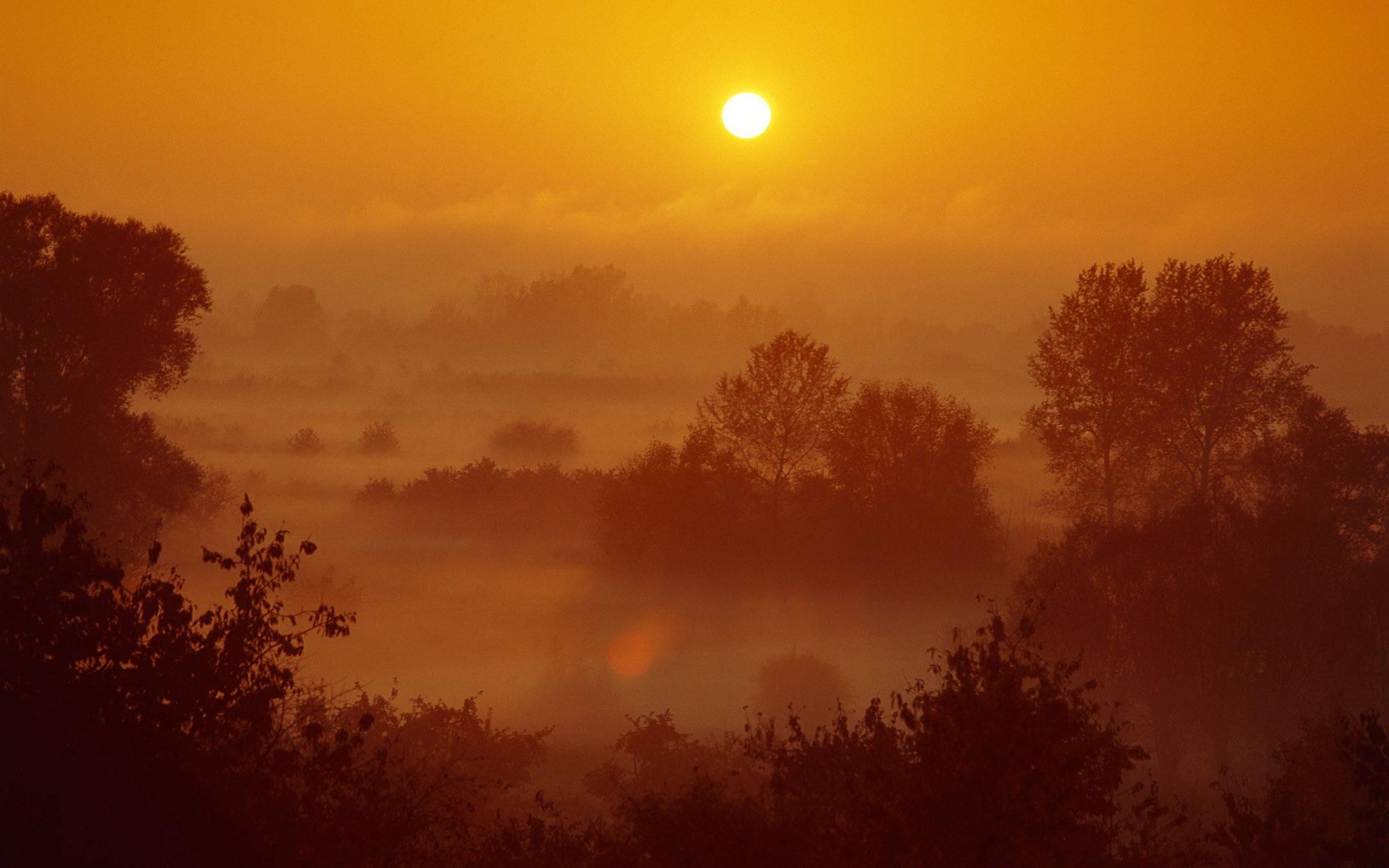 Download Nature Sunset HD Wallpaper | 1920x1200 | Wallpaper Abyss