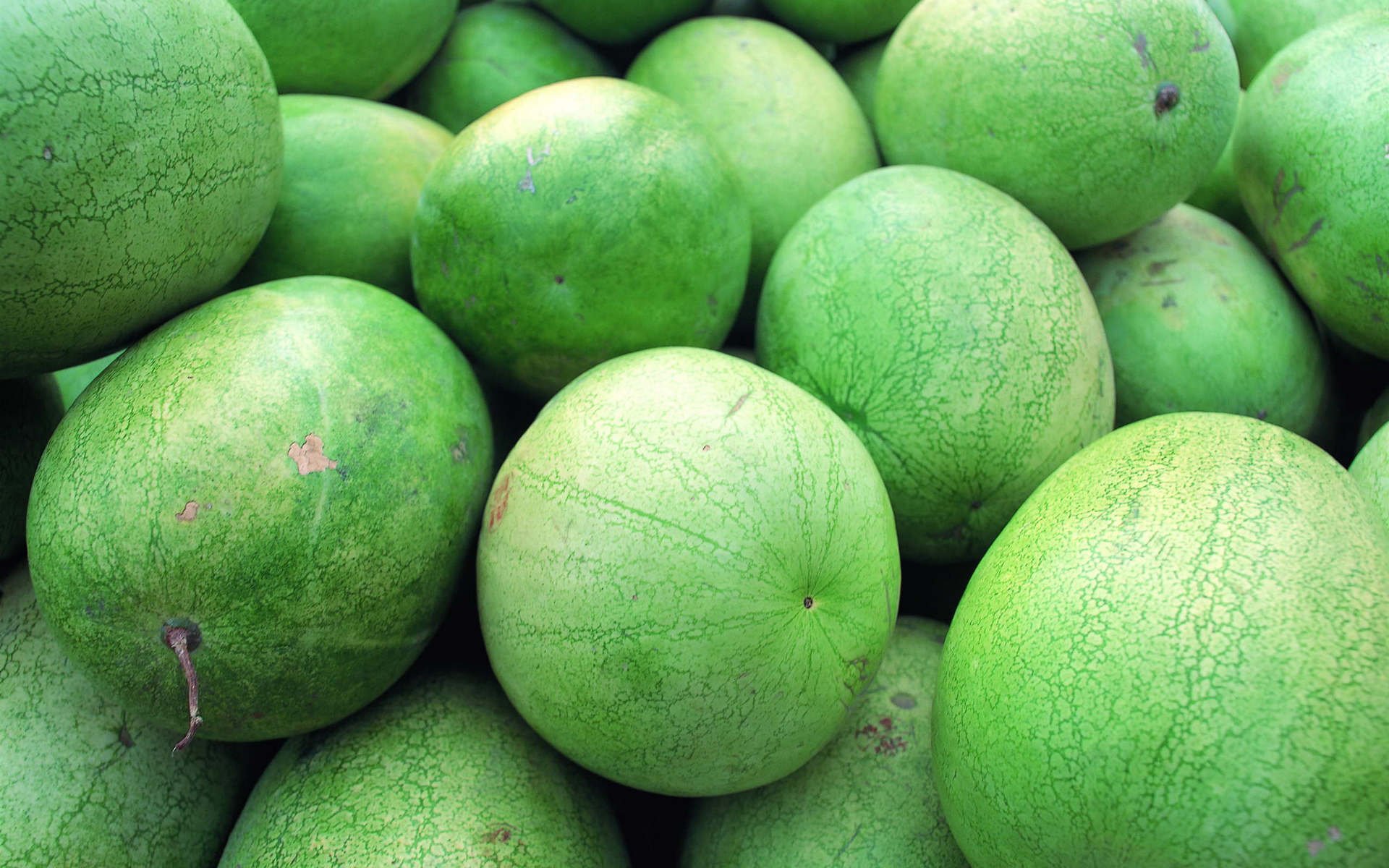 HD PC desktop wallpaper featuring a close-up of fresh, green watermelons piled together, highlighting their smooth textures and vibrant natural colors.