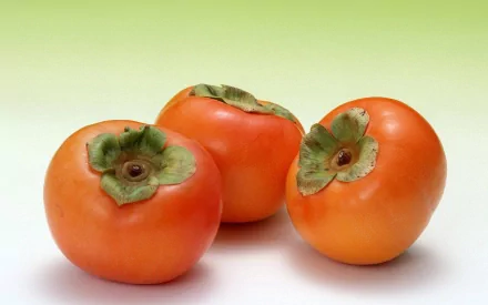 A vibrant HD desktop wallpaper featuring three ripe persimmons against a soft green background, highlighting the fruit's rich color and unique texture.