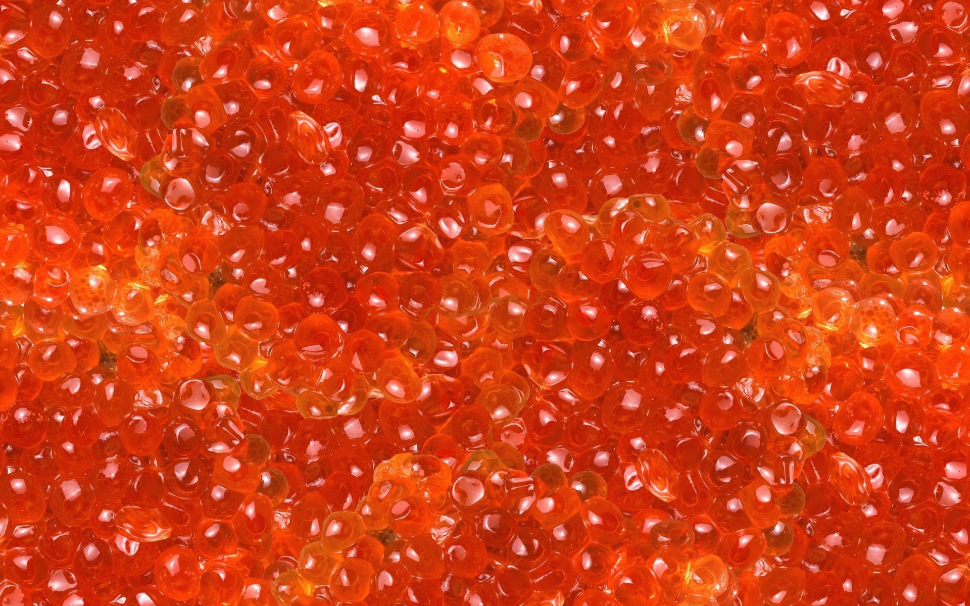 Download Food Caviar HD Wallpaper