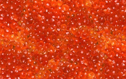 Close-up of glossy orange salmon caviar beads filling the frame, food-focused 2K Quad HD PC desktop wallpaper background.