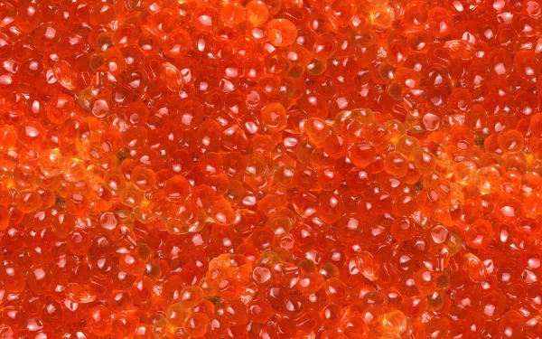 Close-up of glossy orange salmon caviar beads filling the frame, food-focused 2K Quad HD PC desktop wallpaper background.