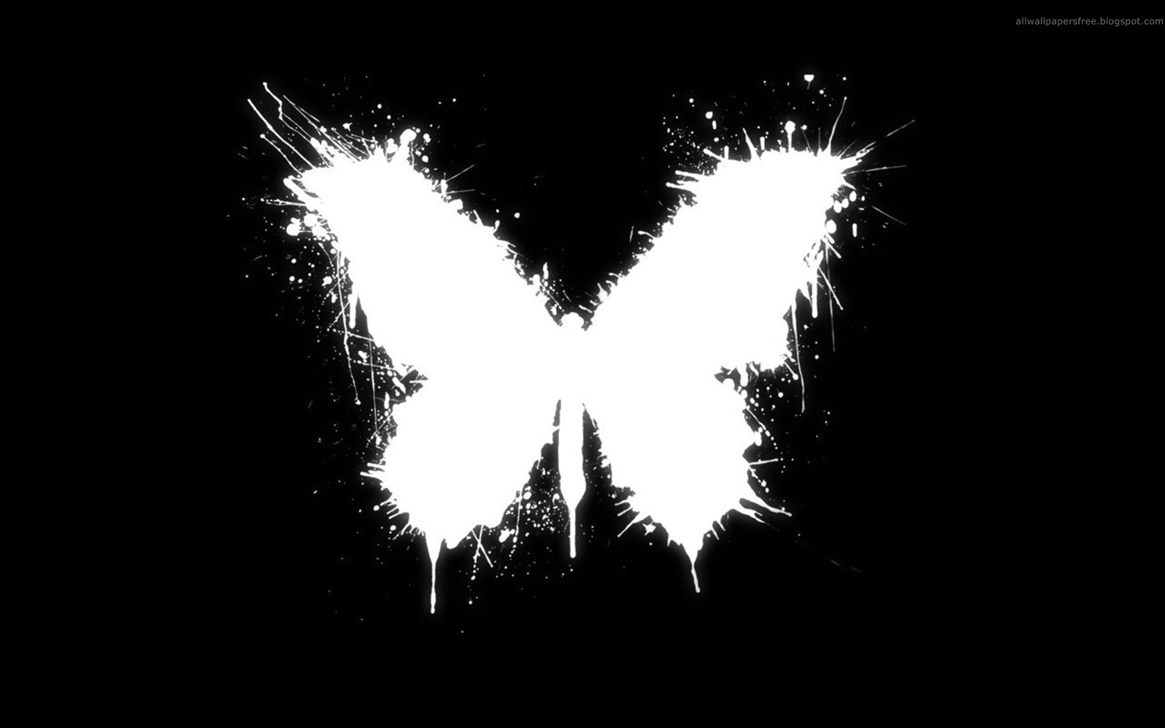 White deals butterfly wallpaper