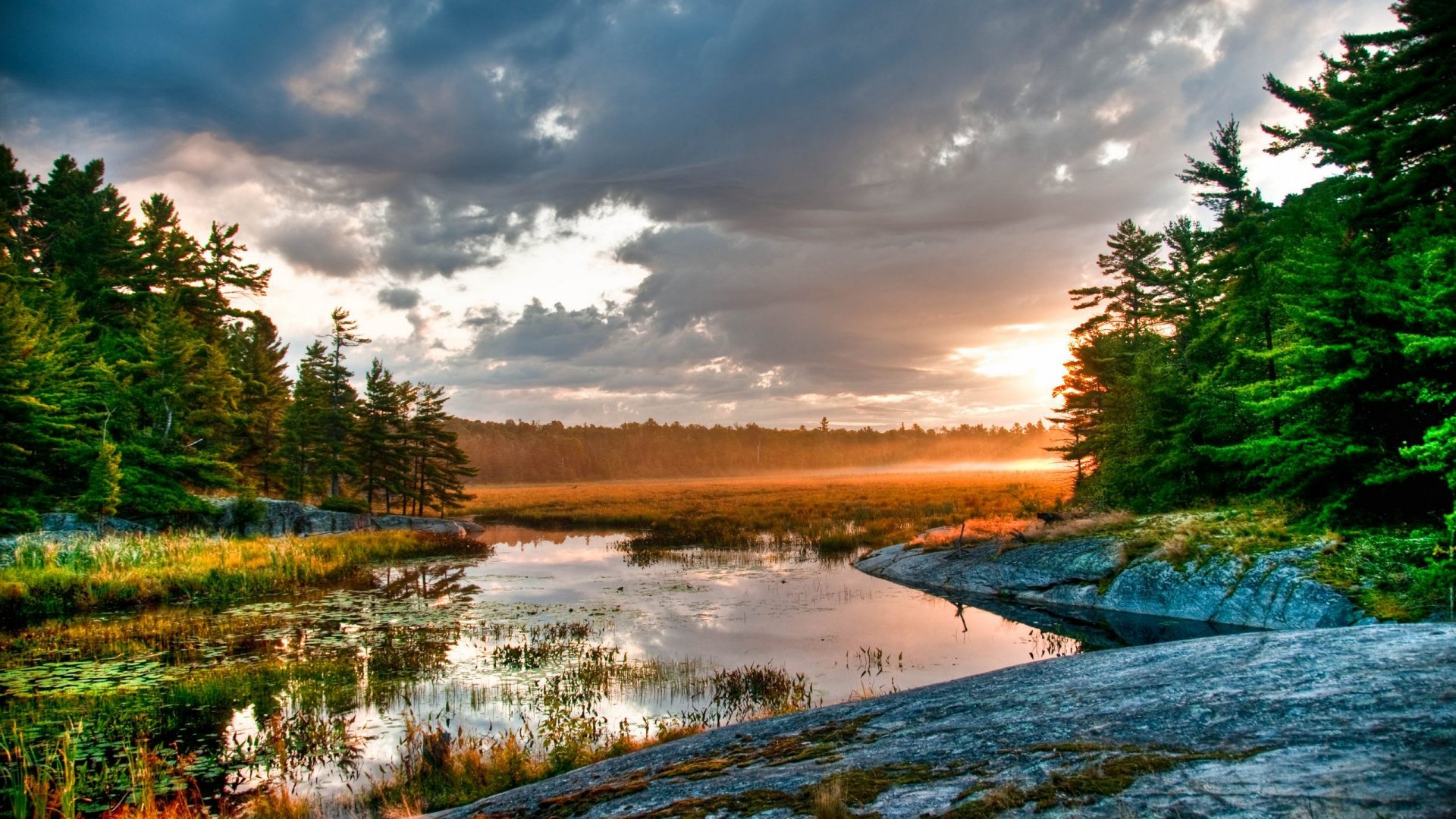 Download Nature Scenic HD Wallpaper