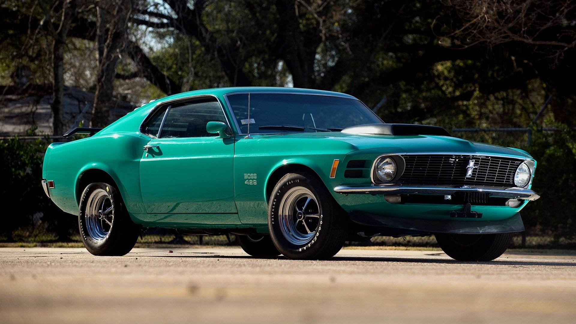 Green Ford Mustang Boss 429 parked under trees, high-definition PC desktop wallpaper showing a classic muscle car front three-quarter view with glossy paint and chrome wheels.