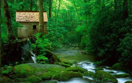 HD PC desktop wallpaper featuring a man-made wooden cabin beside a flowing stream surrounded by lush green forest.