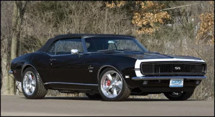 HD PC desktop wallpaper featuring a sleek black Chevrolet Camaro SS convertible parked on a road with autumn trees in the background.