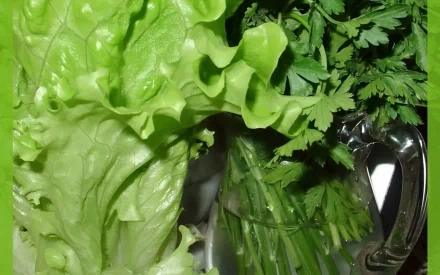 Close-up HD desktop wallpaper featuring fresh green lettuce and leafy vegetables, highlighting vibrant textures and natural freshness.