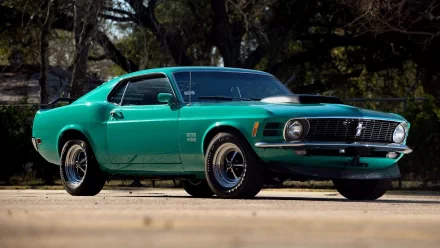 Green Ford Mustang Boss 429 parked under trees, high-definition PC desktop wallpaper showing a classic muscle car front three-quarter view with glossy paint and chrome wheels.