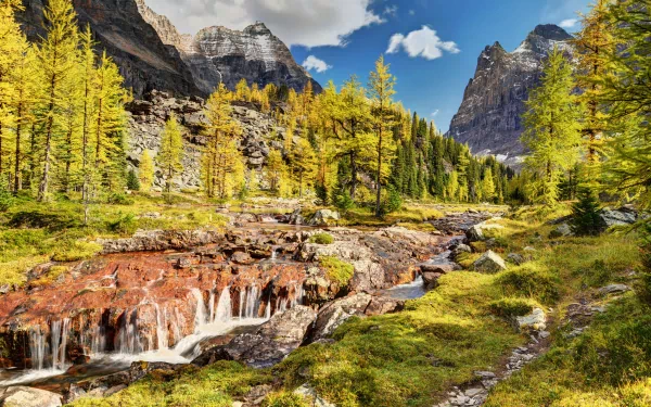 yoho national park river Canada mountain nature landscape HD Desktop Wallpaper | Background Image