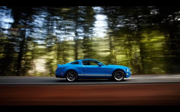 vehicle Ford Mustang GT500 HD Desktop Wallpaper | Background Image
