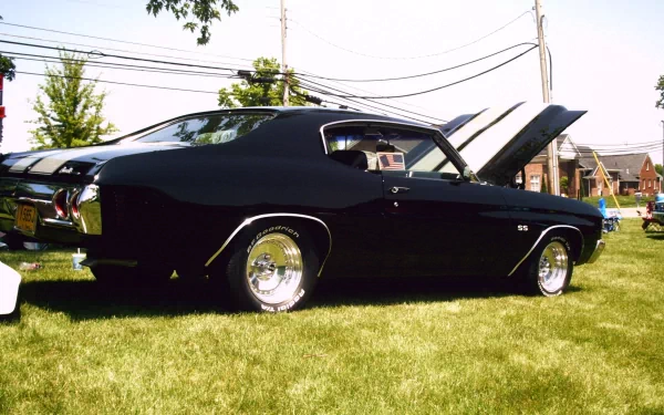 A striking black Chevrolet Chevelle SS parked on grass, showcasing its classic muscle car design and gleaming wheels, with the hood open, highlighting its powerful engine.