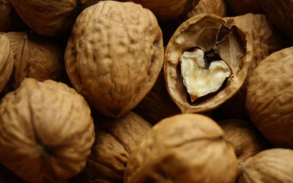 food walnut HD Desktop Wallpaper | Background Image