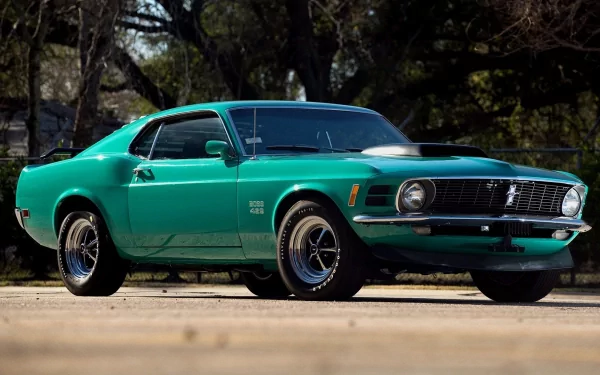 vehicle Ford Mustang Boss 429 HD Desktop Wallpaper | Background Image