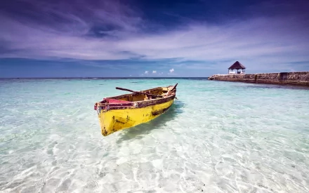 photography tropical HD Desktop Wallpaper | Background Image