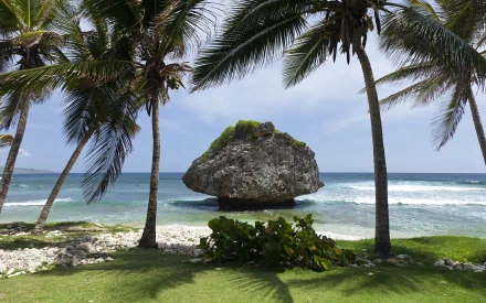 HD PC desktop wallpaper showcasing a serene nature scene with palm trees framing a large rock formation surrounded by ocean waves under a cloudy sky.