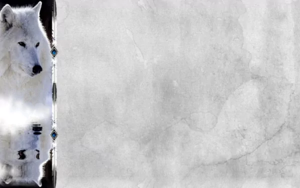 HD PC desktop wallpaper featuring a serene arctic wolf in blue, grey, and white tones against a textured grey background.