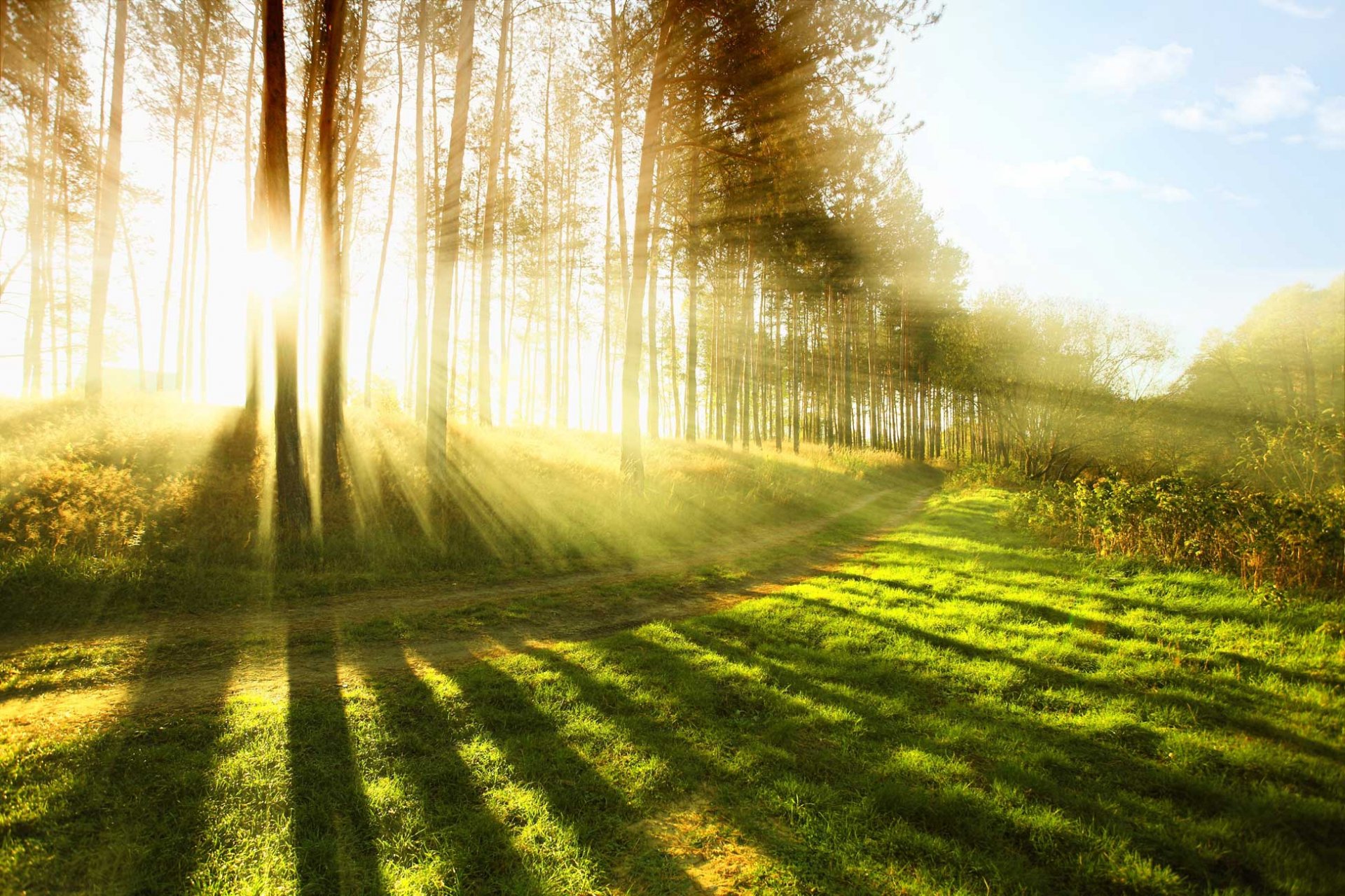 Nature Sunbeam Hd Wallpaper