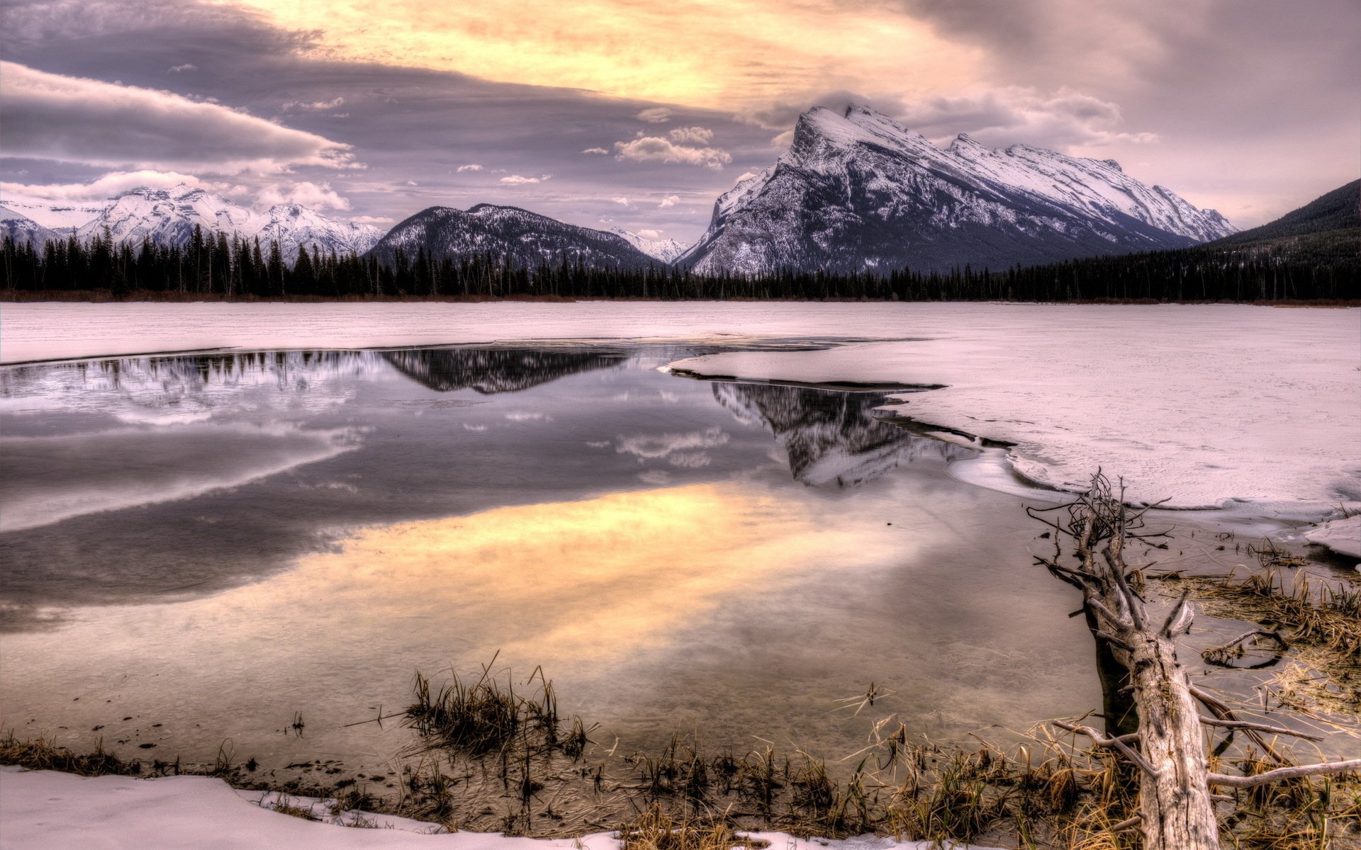 Nature landscape HD PC desktop wallpaper and background: snow-capped mountain and treeline reflected in a partially frozen lake at sunrise, driftwood in the foreground.