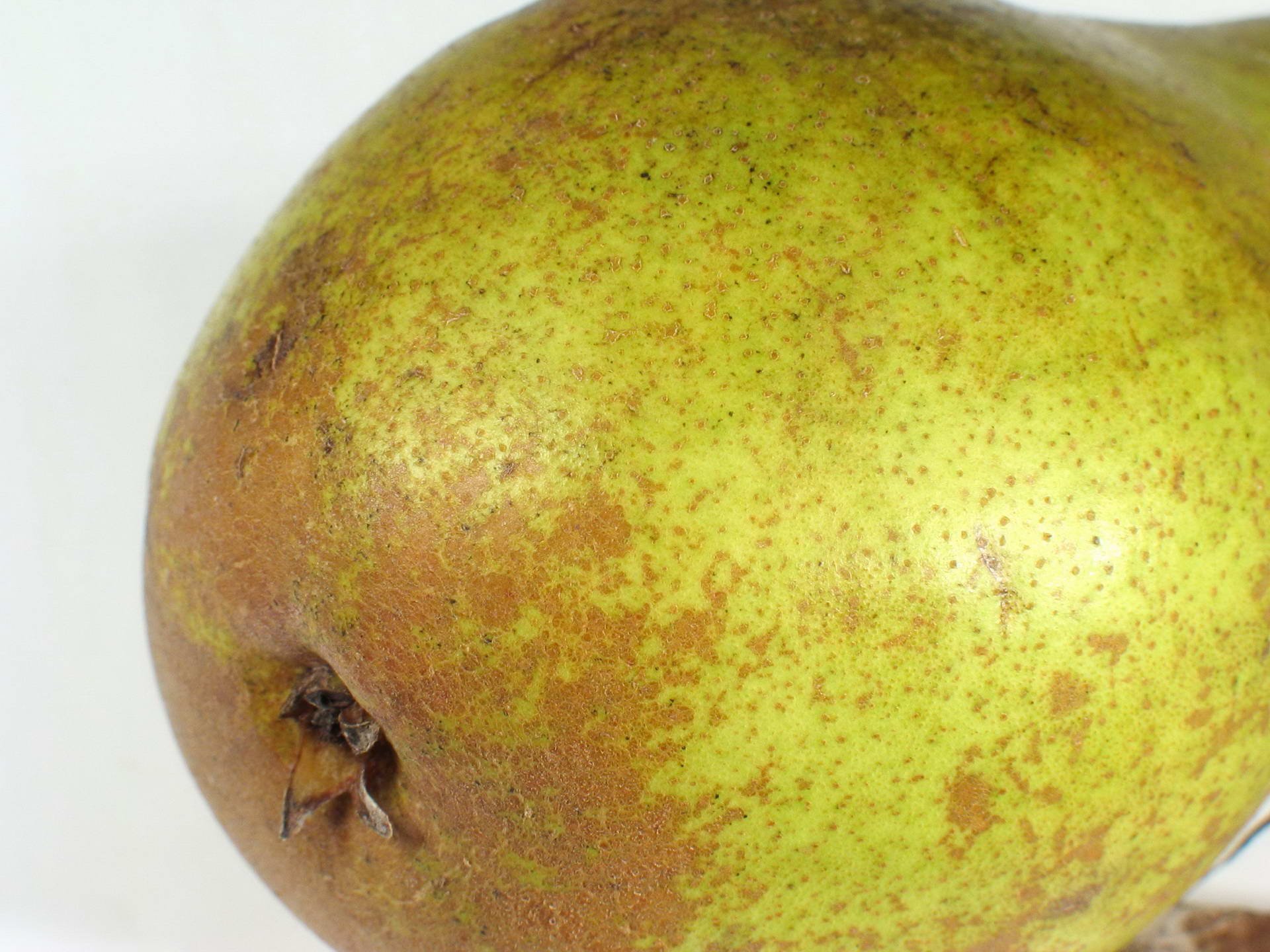 Close-up of a speckled green-brown pear (food), rendered as an HD PC desktop wallpaper and background.