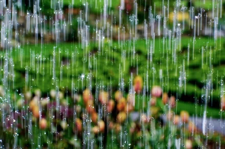 A close-up of rain falling, creating a beautiful bokeh effect on vibrant flowers and lush greenery, making it an enchanting HD desktop wallpaper.
