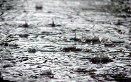HD photography wallpaper showing close-up raindrops hitting a water surface, creating ripples and splashes in black and white.