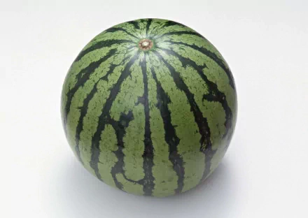 HD PC desktop wallpaper featuring a close-up of a whole, round watermelon with distinct green stripes on a plain white background.