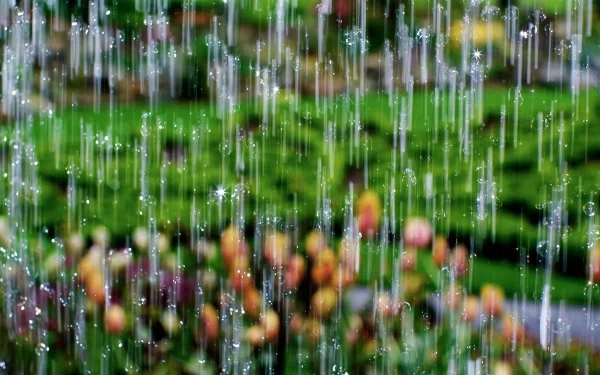 A close-up of rain falling, creating a beautiful bokeh effect on vibrant flowers and lush greenery, making it an enchanting HD desktop wallpaper.