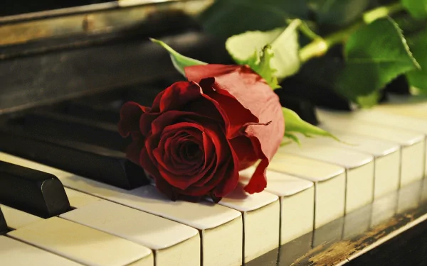 A high-definition desktop wallpaper featuring a red rose resting on the keys of a piano, blending elements of music and elegance.