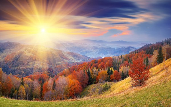 Tierra/Naturaleza Otoño Paisaje Montaña Pintoresco Amanecer Bosque Sunshine Naturaleza Rayo de sol Cielo Sol Fondo de pantalla HD | Fondo de Escritorio