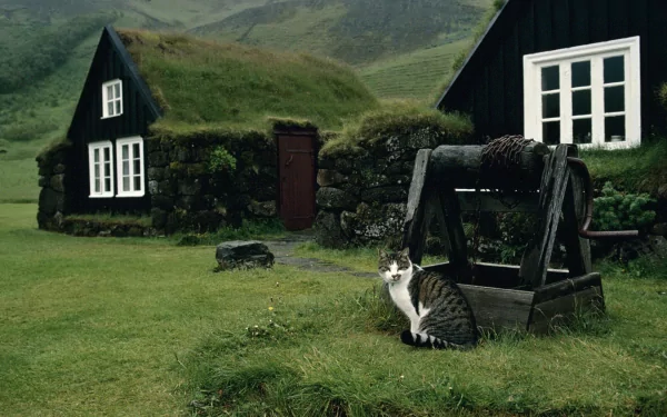 A serene Icelandic landscape featuring a cozy, grass-roofed house and a cat resting by an old well, captured in stunning HD quality for desktop wallpaper.