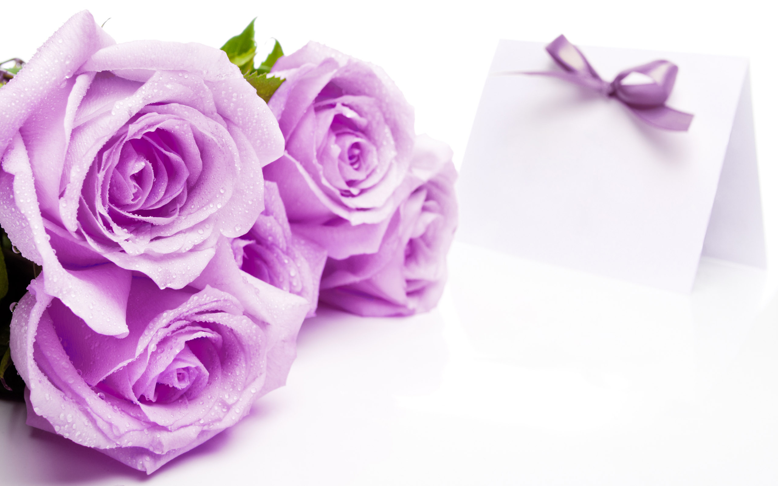 Rose HD Wallpaper: Mang đến vẻ đẹp tuyệt vời của hoa hồng tím, hình nền Rose HD sẽ làm cho màn hình của bạn trở nên sống động và tinh tế hơn bao giờ hết. Hãy đắm mình trong bộ sưu tập hình nền Rose HD để tận hưởng sự đẹp lung linh của hoa hồng tím.