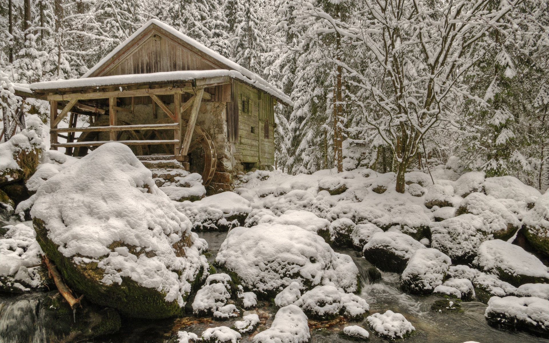 Moulin à eau Fond d’écran HD | Arrière-Plan | 2560x1600 | ID:385041