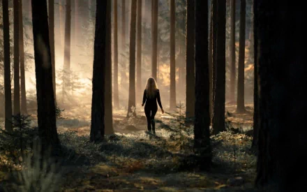 A woman walks through a shadowy forest with sunlight filtering through the trees, creating a serene and contemplative mood. HD wallpaper and background.