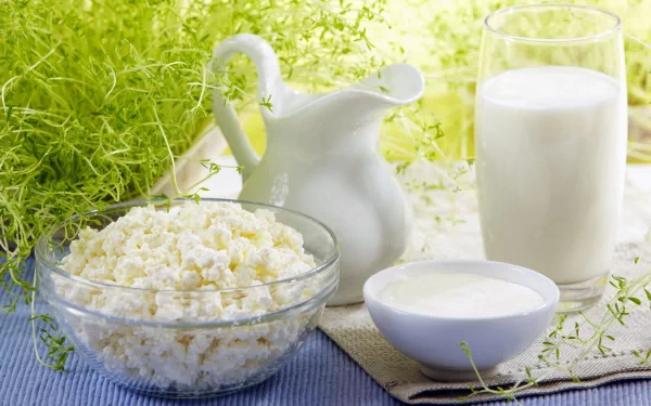 A HD desktop wallpaper featuring a glass of milk, a white jug, a bowl of cottage cheese, and a small bowl of cream, all set against a background of fresh greenery.