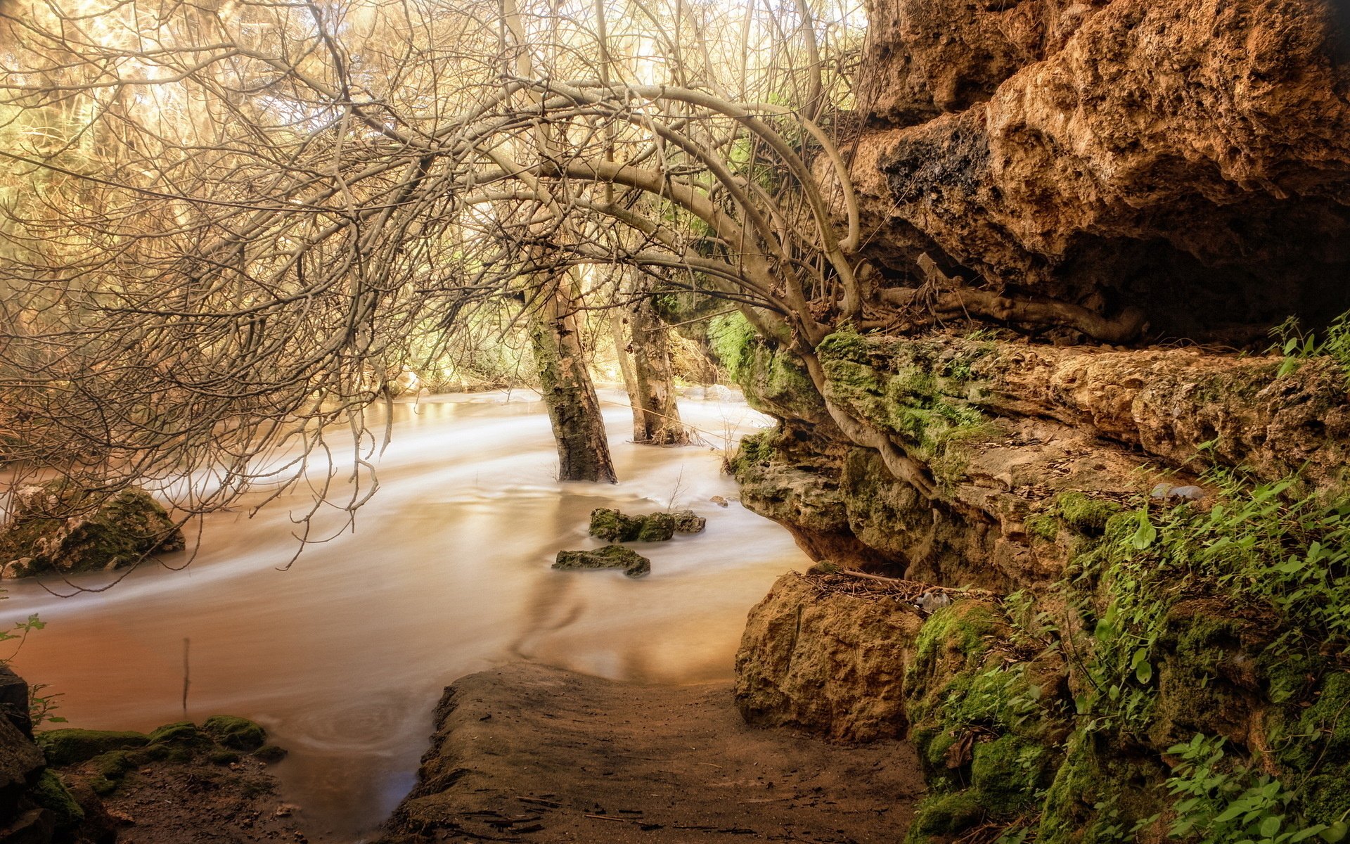 HD PC desktop wallpaper/background: nature stream flowing beneath overhanging trees beside a moss-covered rocky ledge.