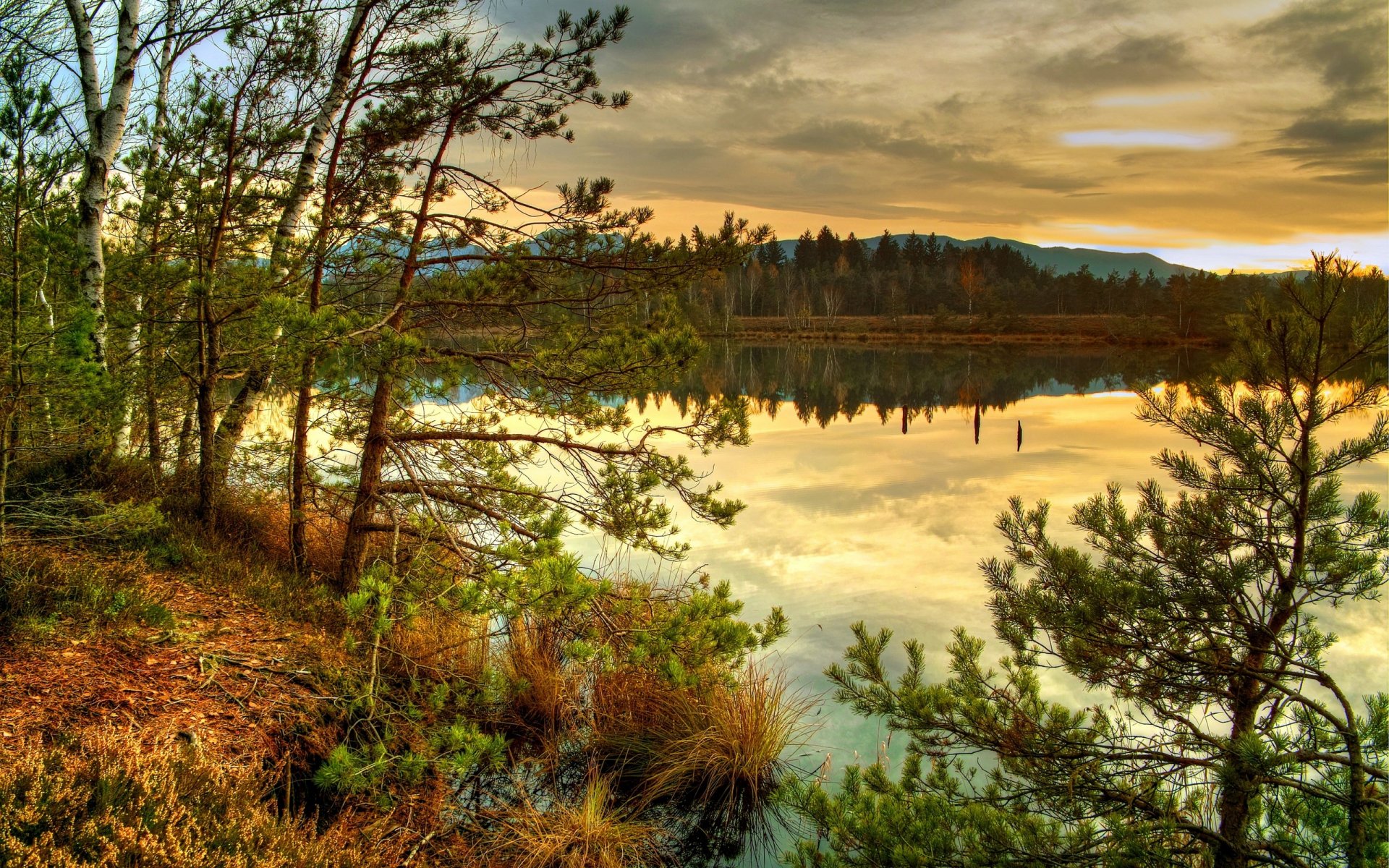 A tranquil nature scene featuring trees beside a serene lake, with stunning reflections of the sky and mountains. This HDR image serves as a captivating PC desktop wallpaper.