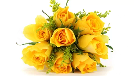 A vibrant bouquet of yellow roses against a white background, highlighted in high definition, presenting a stunning nature-inspired desktop wallpaper or background.