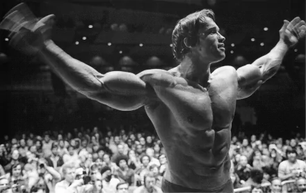 A monochrome HD desktop wallpaper featuring celebrity Arnold Schwarzenegger, flexing his muscles confidently on stage in front of an applauding crowd.