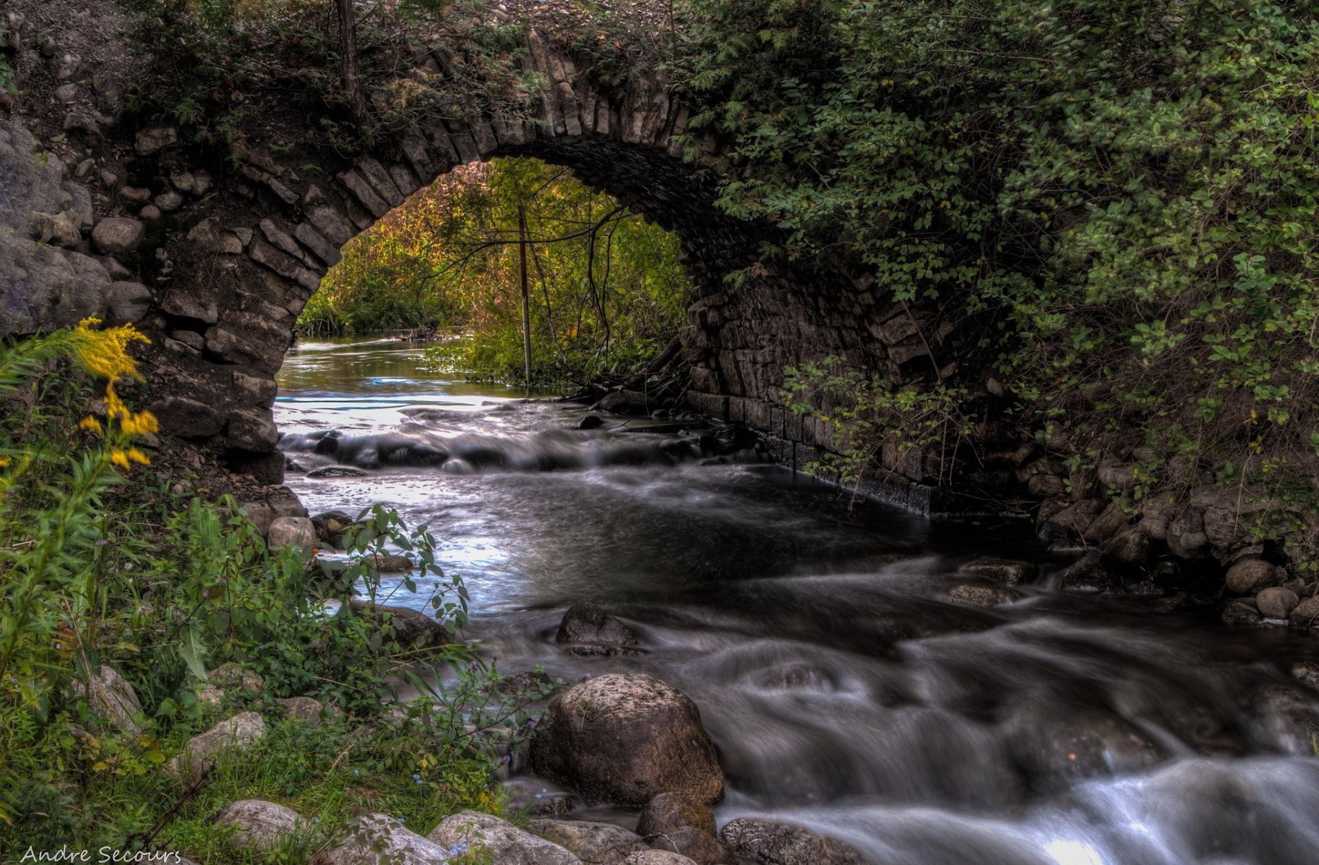 HD PC desktop wallpaper/background: stone man-made arch bridge spans a silky-flowing stream, framed by mossy rocks and lush forest foliage.