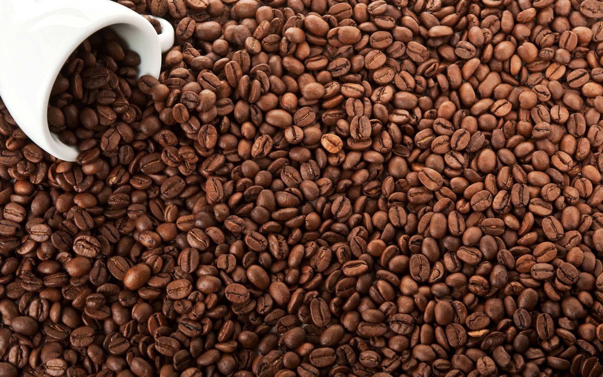 HD desktop wallpaper featuring a close-up of rich, roasted coffee beans spilling from a white cup, highlighting food and coffee themes.